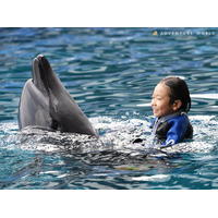 【夏休み2025】アドベンチャーワールドでイルカと泳ぐ体験…8/31まで 画像