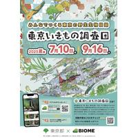 【夏休み2025】アプリで参加「東京いきもの調査団 夏編」9/16まで 画像