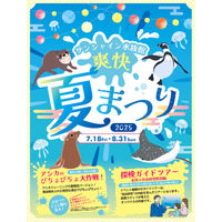 【夏休み2025】サンシャイン水族館「爽快夏まつり」猛暑日は水量増 画像