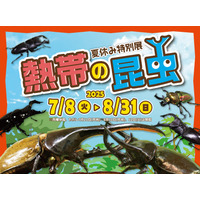 【夏休み2025】世界最大級のカブトムシに会える…板橋の植物館で特別展 画像