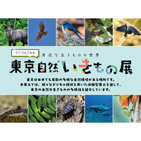 【夏休み2025】デジタルでみる東京自然いきもの展8/2より 画像