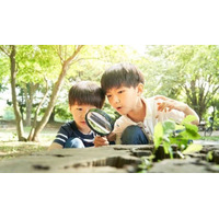 【夏休み2025】小中学生の自由研究テーマ紹介…明光プラス 画像