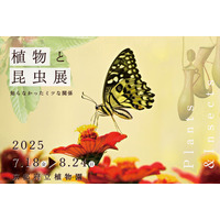 【夏休み2025】京都府立植物園「植物と昆虫展」8/24まで、自由研究にも 画像