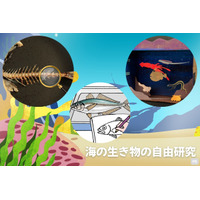 【夏休み2025】「海とさかな」自由研究・作品コンクール、9/26応募締切 画像