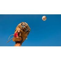 【高校野球2025夏】<第12日目>準々決勝進出校決定へ 8月17日の対戦カードと試合開始時間…第11日目の結果も 画像