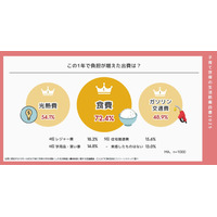 家計の負担増9割が実感、食費・光熱費・交通費の三重苦 画像