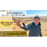 大阪市立自然史博物館「化石を楽しむ2025」10/18-11/16 画像