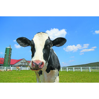 茨城・埼玉県民デー「マザー牧場、子供入場無料など」11/8-16 画像