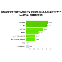 留学費用「100万円以上」1割…Duolingo調査 画像