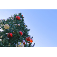 【中学受験】保護者仲間の存在に安心感「受験直前企画！中学受験なんでも相談会」 画像