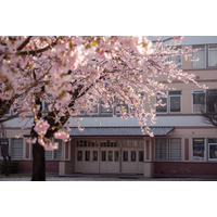 【中学受験2026】今年の人気校は？ねらい目校は？…過去問の売れ行き前年比較で探る注目校＜共学校編・後編＞ 画像