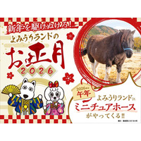 【冬休み2026】午年生まれ・名前「馬」「午」入園無料、よみうりランド1/1-4 画像