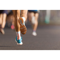 箱根2026往路V青学の出身校・学部は？麻布出身の東大生も快走 画像