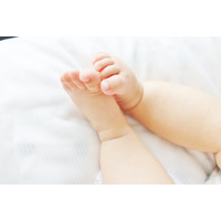 最難関・灘中が国語で投じた一石…パレスチナの現代詩から読み解く、今求められる読解力 画像