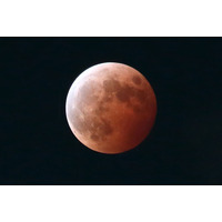 サンシャイン60展望台「ワームムーン」と皆既月食の観賞会3/3 画像
