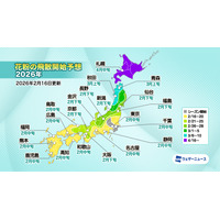 スギ花粉シーズン開始、東京は2/16…2月下旬から本格飛散へ 画像