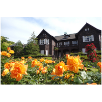 100種200株のバラ咲く「旧古河庭園」春のフェス4/29開幕 画像