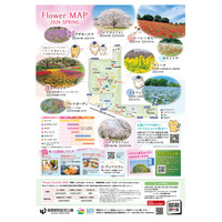 【GW2026】フラワーフェスティバル、国営昭和記念公園5/24まで 画像