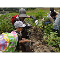 ホテル日航東京で食育イベント…親子でリサイクルエコ野菜作りを体験 画像