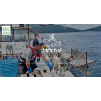 【夏休み2026】三陸で漁業体験「さかなたび」8/3-4…高・大学生対象 画像