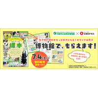 【自由研究2026】植物・貝がら・昆虫の標本づくり冊子を無料配布…大阪市立自然史博物館 画像
