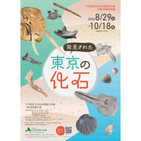 特別展「発見された東京の化石」日比谷図書文化館で8/29から 画像