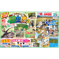 【夏休み2026】約100匹が集結「昆虫博」富士見台高原 画像