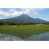 【夏休み2026】磐梯町の教育環境と教育移住を紹介、渋谷でイベント7/26 画像