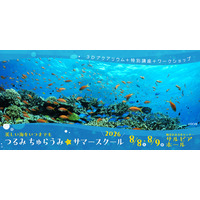 【夏休み2026】横浜で沖縄の海を体験、つるみ・ちゅらうみサマースクール8/8-9 画像