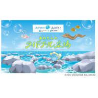 【夏休み2026】新江ノ島水族館がテラスモール湘南へ、海の生き物と学ぶ16日間 画像