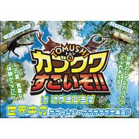 【夏休み2026】世界の人気昆虫が大集合…けやきひろば7/18 画像