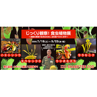 【夏休み2026】伊豆シャボテン動物公園「食虫植物展」7-9月…自由研究にも 画像