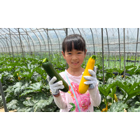 【夏休み2026】八ヶ岳農業大学校で収穫体験「やさい博士ツアー」自由研究にも 画像