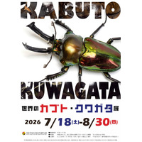 【夏休み2026】約1,700種の標本展示「世界のカブト・クワガタ展」静岡・磐田8/30まで 画像