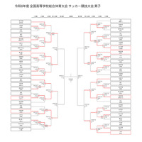 高校サッカー男子インターハイ、桐光や桐蔭が8強入り…ベスト8出揃う 画像