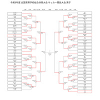 高校サッカー男子インターハイ、4強に近大附属と大津 画像