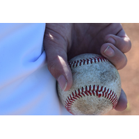 【高校野球2026夏】花巻東・岡山学芸館・鳴門渦潮・霞ケ浦が勝利、第6日は横浜vs沖縄尚学ほか 画像