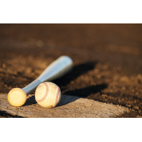 【高校野球2026夏】日南学園・横浜・高川学園・天理が勝利、第7日は智辯和歌山vs社ほか 画像