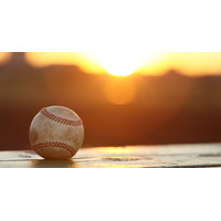 【高校野球2026夏】天理・智辯和歌山・三重・仙台育英が勝利、第12日は霞ケ浦vs横浜 画像