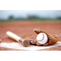 【高校野球2026夏】智辯和歌山が5年ぶり4度目の優勝…第108回、高校野球2026夏が閉幕 画像