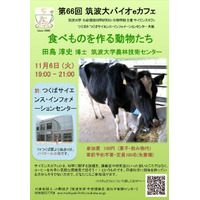 筑波大でサイエンスカフェ「食べものを作る動物たち」 画像