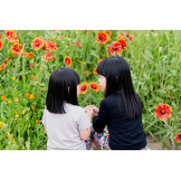小学生におすすめのイベント…9-12月に開催、応募開始などの情報まとめ 画像