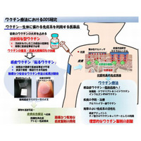 貼るインフルエンザワクチン、5年後の実用化へ 画像