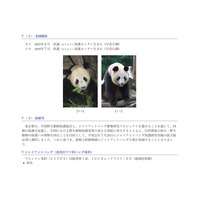 上野動物園、パンダの来園日決定＆保護サポート基金募集 画像