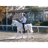 都内で手軽に乗馬体験「馬に親しむ日」…日本中央競馬会が開催 画像