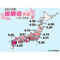 気象協会、桜開花予想「平年並みか早い」と発表…東京は3/25頃 画像