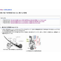 環境省、大気汚染物質PM2.5の専用ページを開設 画像