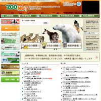 上野動物園、パンダのお披露目4/1に決定 画像