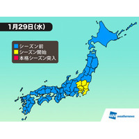 関東全域で花粉シーズン突入、昨年より1週間早く飛散開始 画像