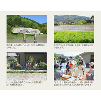 田植えから収穫、料理まで…宝酒造「田んぼの学校」2014参加者募集 画像